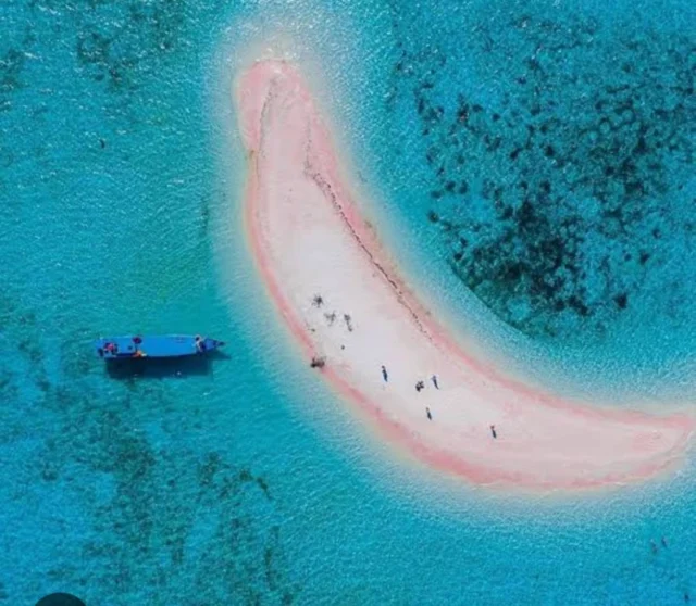 TAKA MAKASAR
  Taka makasar is a very small island that only consists of the white sand. The clear water and white sand, the view of this small island are also very best things that must be visited. in additional to enjoying the beach and also doing the snorkeling. This place also we can snorkeling  with baby shark and turtles if we lucky.

#Takamakasar 
#komodoisland 
#pinkbeach 
#pinkbeachkomodo 
#labuanbajo 
#floresisland
